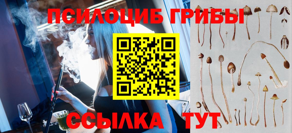 Галлюциногенные грибы Cubensis Кизилюрт